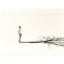 Fabien Mérelle, Ce que je sais de mon ombre, 2018