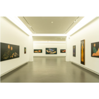 2025 - Exposition Sophie Kuijken - Centre d'art contemporain de la Matmut - Daniel Havis