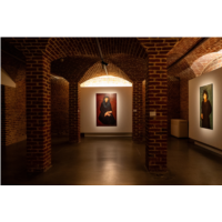 2025 - Exposition Sophie Kuijken - Centre d'art contemporain de la Matmut - Daniel Havis