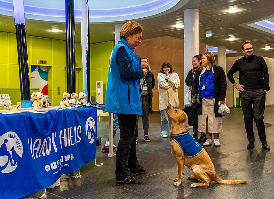 L'association Handi'Chiens image principale 